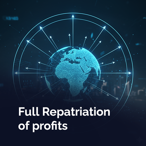  An icon showing customs duty exemption on imports/exports